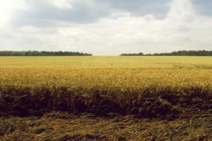 Frontend Learning Roadmap 2024